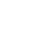 Aenean